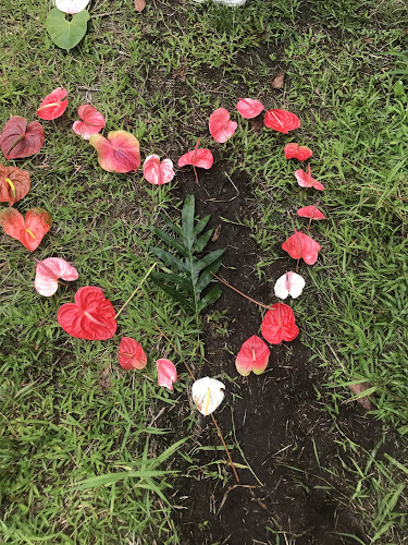 AF1QipO8_3e0qOxkR1osV8Y8Ojl3oATbCMlwRlS7S455=w800-h500-k-no