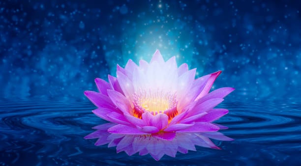 AF1QipOpsdXASq8tJawJ0iPAe4ro_V6tNdc7OYB-kMNw=w800-h500-k-no