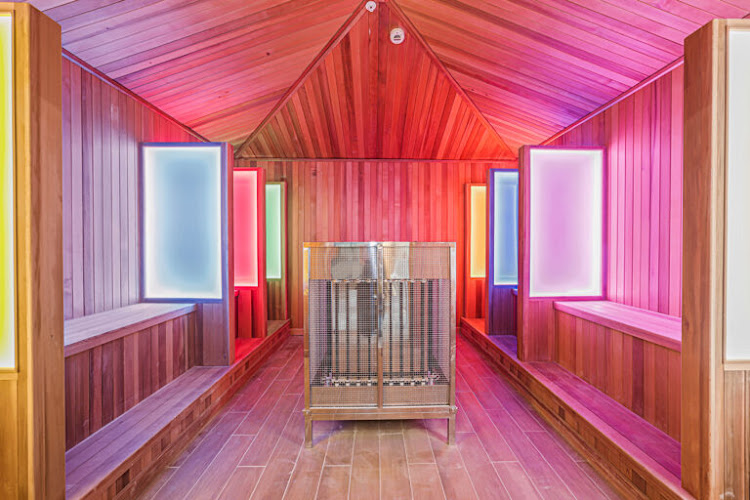 AF1QipPZ-AWcYe4iKTDmjKR13efRA9qJtm70UHjGOMD4=w800-h500-k-no